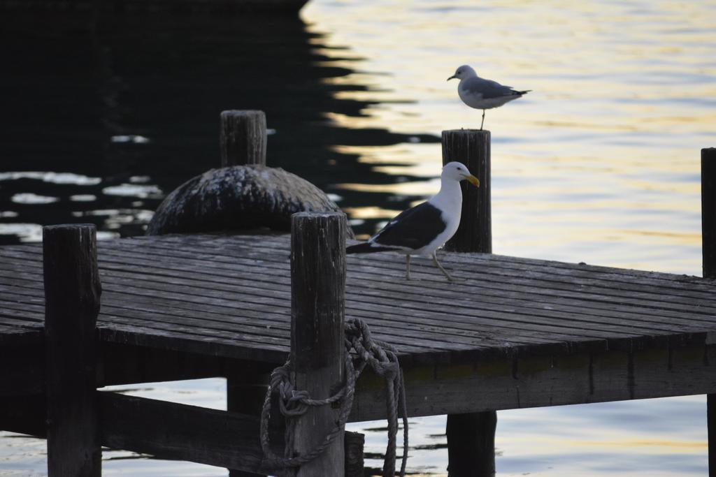 Rivertides Self Catering Guest House Velddrif Zewnętrze zdjęcie